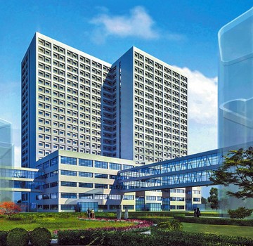 山东鲁泰控股集团有限公司